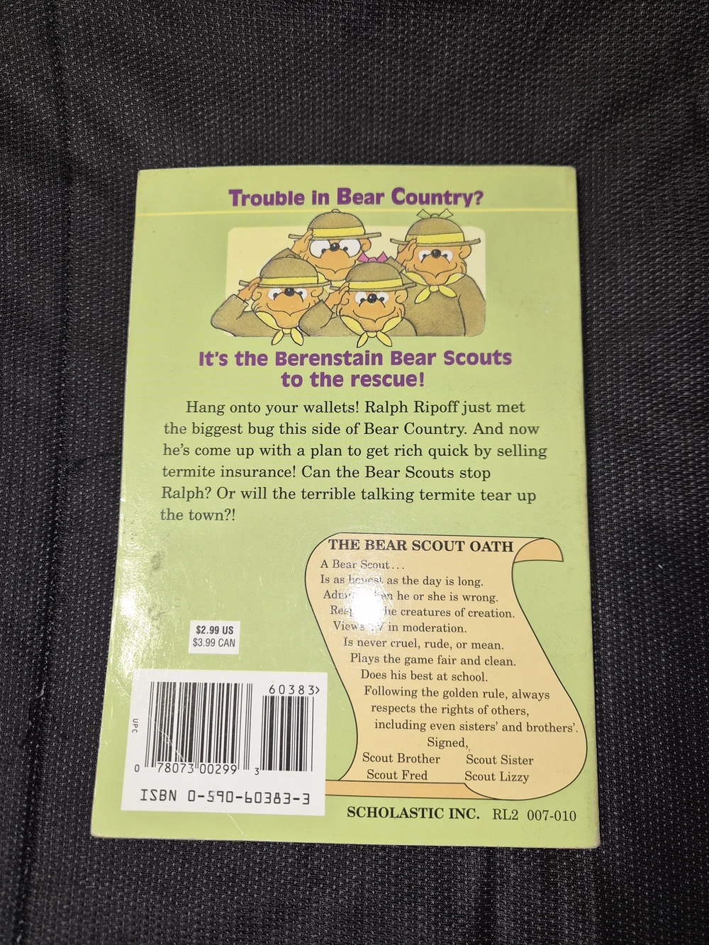 The Berenstain Bear Book